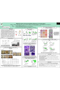 NIT_Poster_LM3.pdf