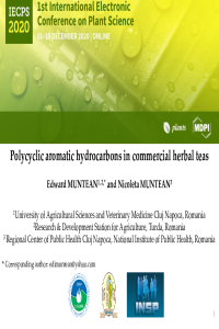 Muntean E PAH.pdf