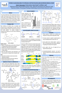 sciforum_045333_manuscript_Yongo_Luwawa_C_Poster.pdf