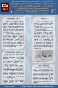 Poster_fin.pdf