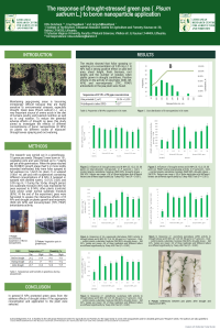 Poster.pdf
