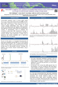 sciforum_115721_S3_slides_Amer_Abdelgany_CSM_2025_poster.pdf