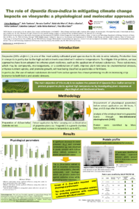 Póster_Agronomy conference2024_Lénia_2.pdf