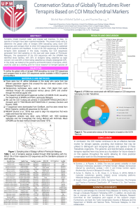 sciforum-060719.pdf