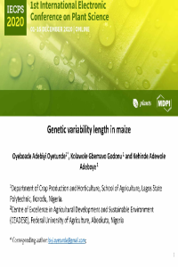 Oyetunde et al_IECPS2020_slides.pdf