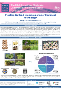 Pereira and Calheiros_Poster.pdf