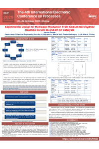 ECP 2025_Poster_Ozcakir.pdf