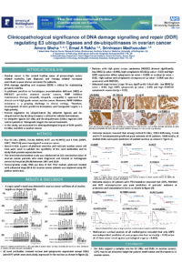 Cells Poster.pdf