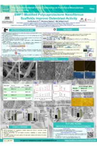 Poster bmp7.pdf