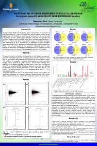 Poster SSilva.pdf