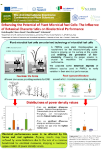 poster IECPS2024.pdf