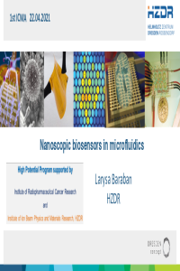 ICMA_Baraban.pdf