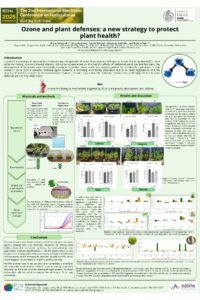 Poster_IECHO2025.pdf