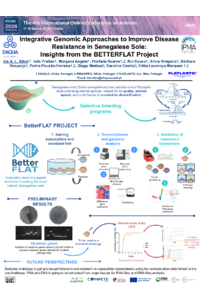 Silva et al Animals 2026 BetterFLAT_Poster2.pdf