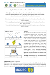 mol2net-05_MODEC-2020-template Manuel.pdf