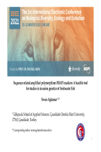 BDEE2021_Presentation_SevanAgdamar.pdf