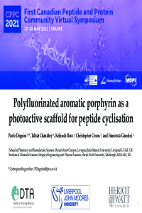 sciforum_045414_slides_CPPC2021_PaoloDognini.pdf