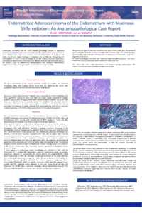 poster IECC KHARKHACH Manal.pdf