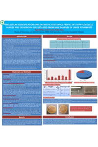 sciforum-160807 Aayesha Riaz.pdf