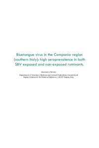 BTV Campania.pdf