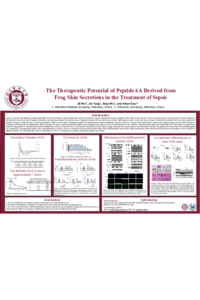Wu_The Therapeutic Potential of Peptide 6A - poster.pdf