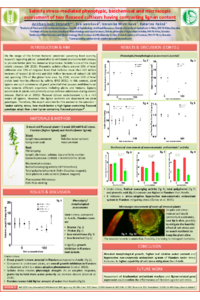 IECPS 2024 Poster.pdf