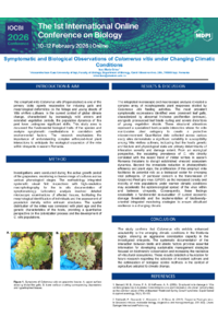 sciforum-154021.pdf