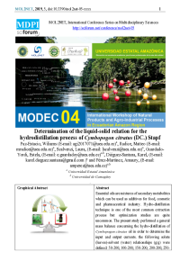 MODEC04 Draft - Final.pdf