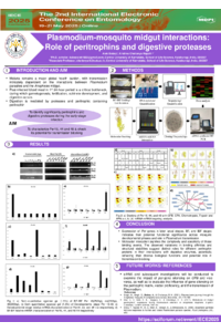 Sciforum-117655_Alok DUbey (1).pdf