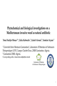 Presentation 8.pdf