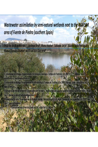Wastewater assimilation Fuente de Piedra  pps.pdf