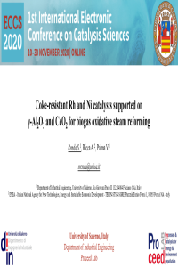 Renda S._ECCS2020.pdf