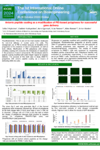 poster 101123 Shtykalova.pdf