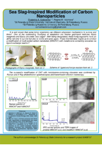 sciforum-086667.pdf
