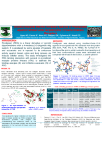 Mol2Net-2023.pdf