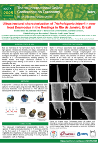 BeatrizEliseAndradeSilva.pdf