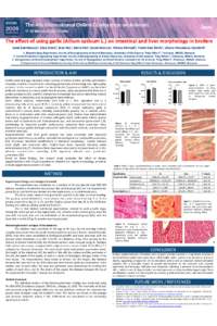 sciforum-157576 Gabi Dumitrescu.pdf