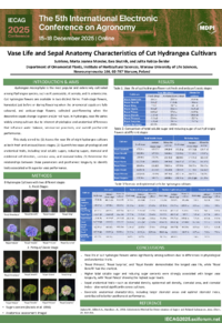 sciforum-152431.pdf