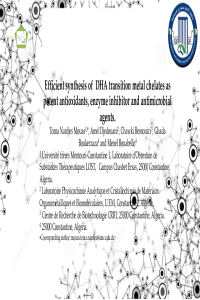 PRESENTATION.pdf
