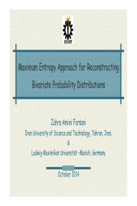 ECEA-1_Maximum Entropy Approach_Presentation_Yari-Farsani.pdf