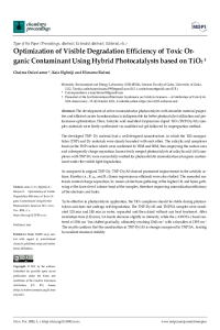 sciforum-047626.pdf