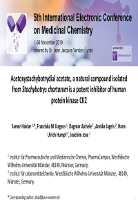 sciforum-027828.pdf