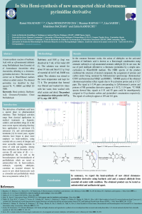 MAADADI ECSOC25.pdf