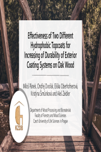 Conference Páneketal2019.pdf