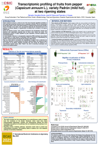 González-Gordo et al_Poster_sciforum-044027_Conference_Agronomy.pdf