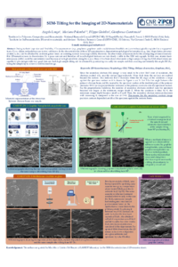 poster ASEC 2024 Palomba et all..pdf