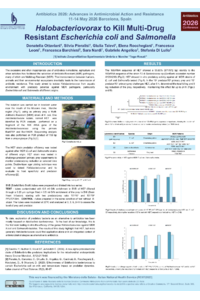 Halobacteriovorax to kill Multi-Drug-Resistant Escherichia coli and Salmonella.pdf