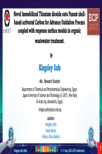 Kingsley Safo Presentation for ECP 2023.pdf
