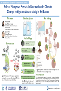 sciforum_062391.pdf