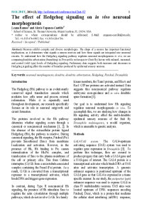 Fly_SciForum_Final.pdf